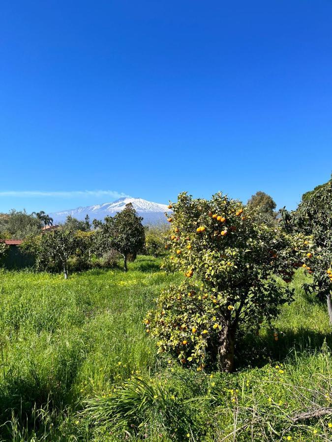 דירות Schiso Casa Dei Fiori Con La Vista A Taormina מראה חיצוני תמונה