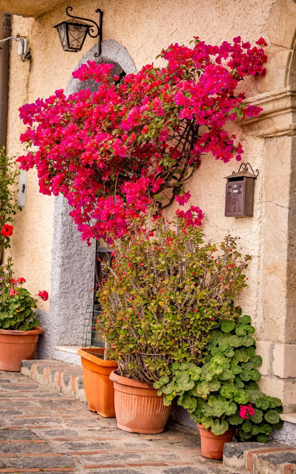 דירות Schiso Casa Dei Fiori Con La Vista A Taormina מראה חיצוני תמונה